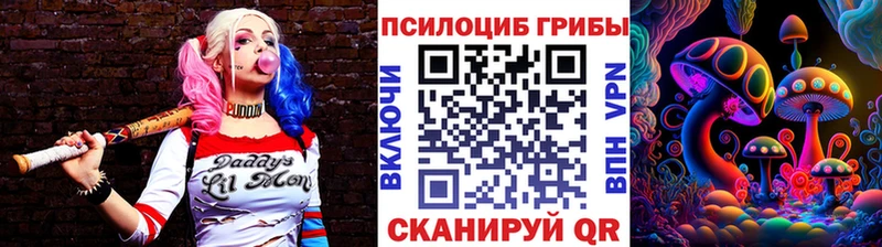 Псилоцибиновые грибы MAGIC MUSHROOMS  наркошоп  Подпорожье 